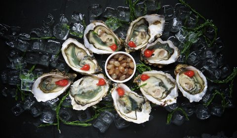 oysters