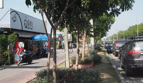 ร้าน ฉ่อย เป็ดย่าง