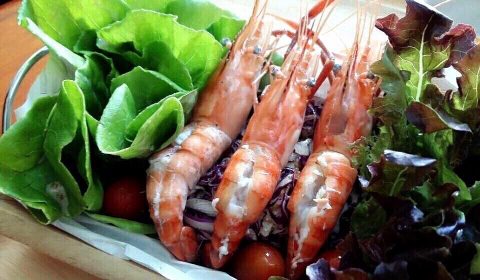 ร้าน อาหาร IX CAFÉ