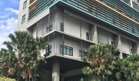 มหาวิทยาลัยเกษตร