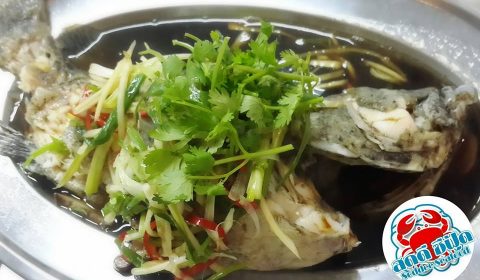Seafood