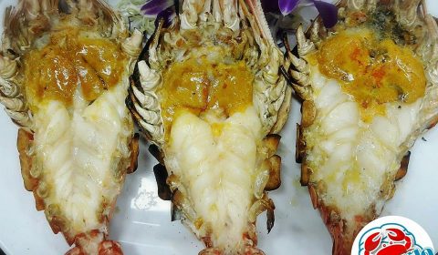 Seafood