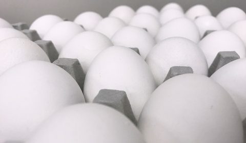 eggs-2263973_960_720