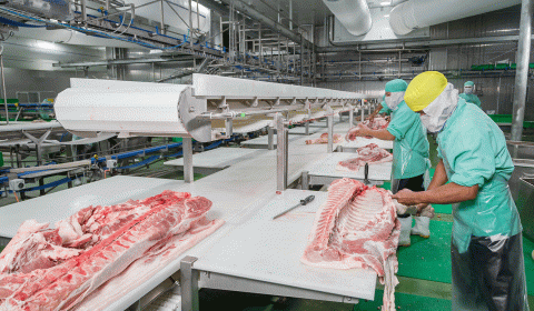 หมู เนื้อหมู VC Meat