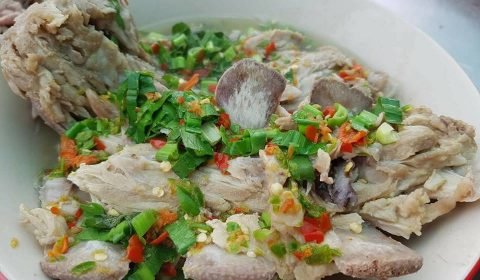 อ้วนเลือดหมูใบยา1