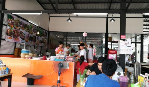 อ้วนเลือดหมูใบยา11