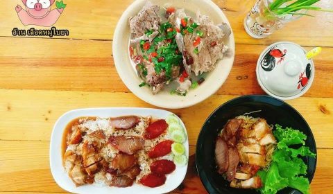 อ้วนเลือดหมูใบยา6