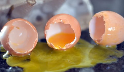 broken-eggs