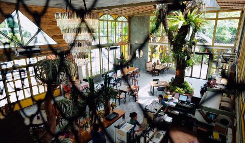 โอยั๊วะ6