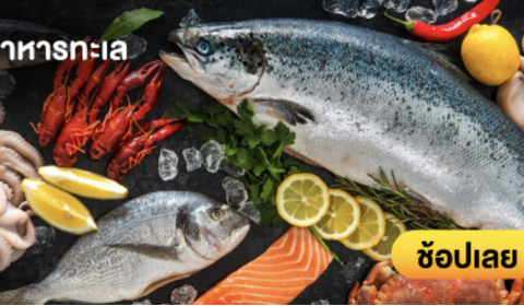 แม็คโคร