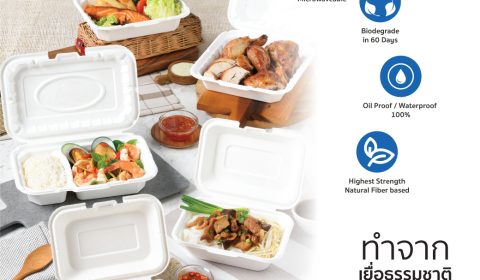 DezpaX บรรจุภัณฑ์ eco8