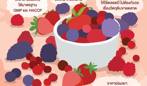 อยากขายสมูทตี้มีกำไร ทำไมไม่ควรมองข้ามผลไม้แช่แข็ง