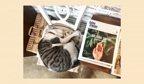 Zakka Shop & Cafe