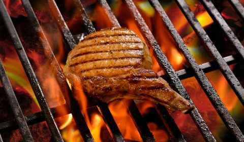Grilled meat /steak
