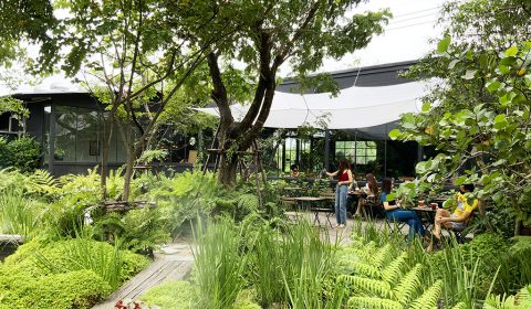 แต่งร้านกาแฟ