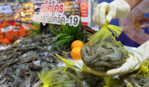 กุ้ง แม็คโคร