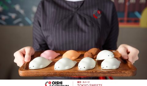 04_โมจิแมวน้ำ และโมจิมินิ เสิร์ฟไม่อั้น เอาใจสายหวาน