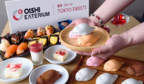 โมจิแมวน้ำ และโมจิมินิ