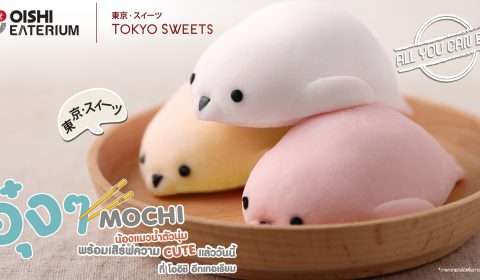 โมจิแมวน้ำ และโมจิมินิ